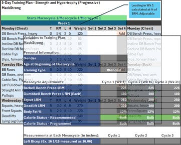 5 Day Strength & Hypertrophy Progressive Training Plan