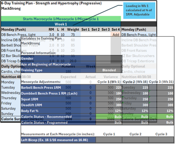 6 Day Strength & Hypertrophy Progressive Training Plan